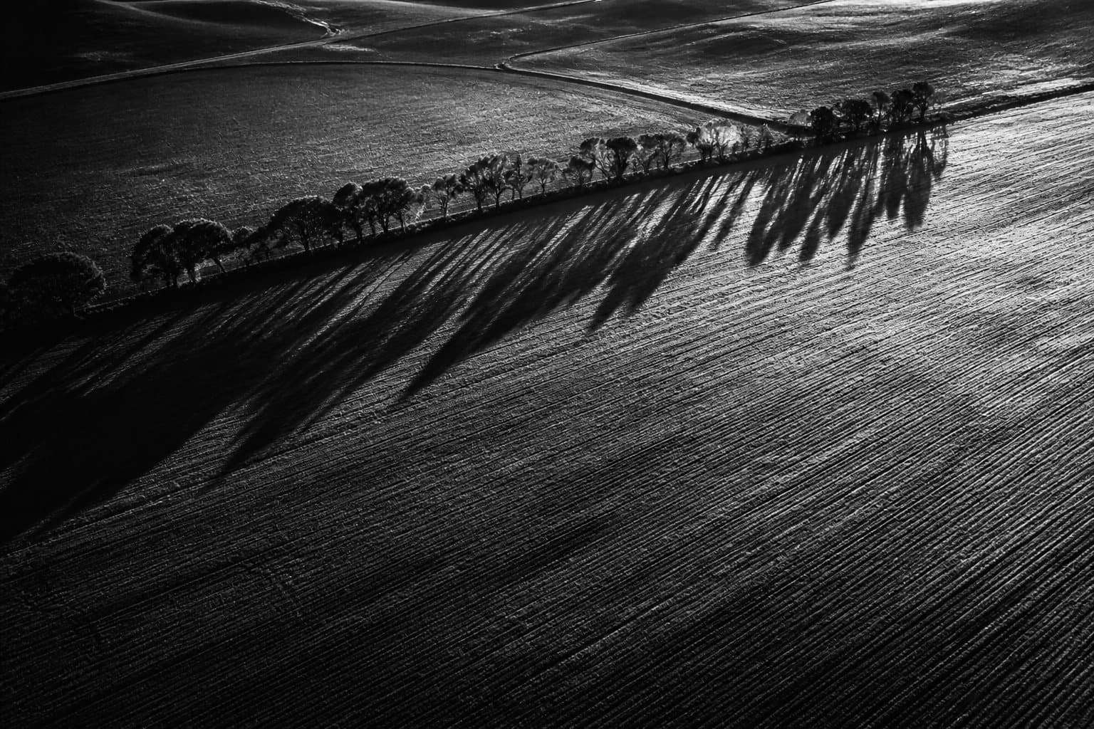 Vista aérea de lavoura com sol rasante